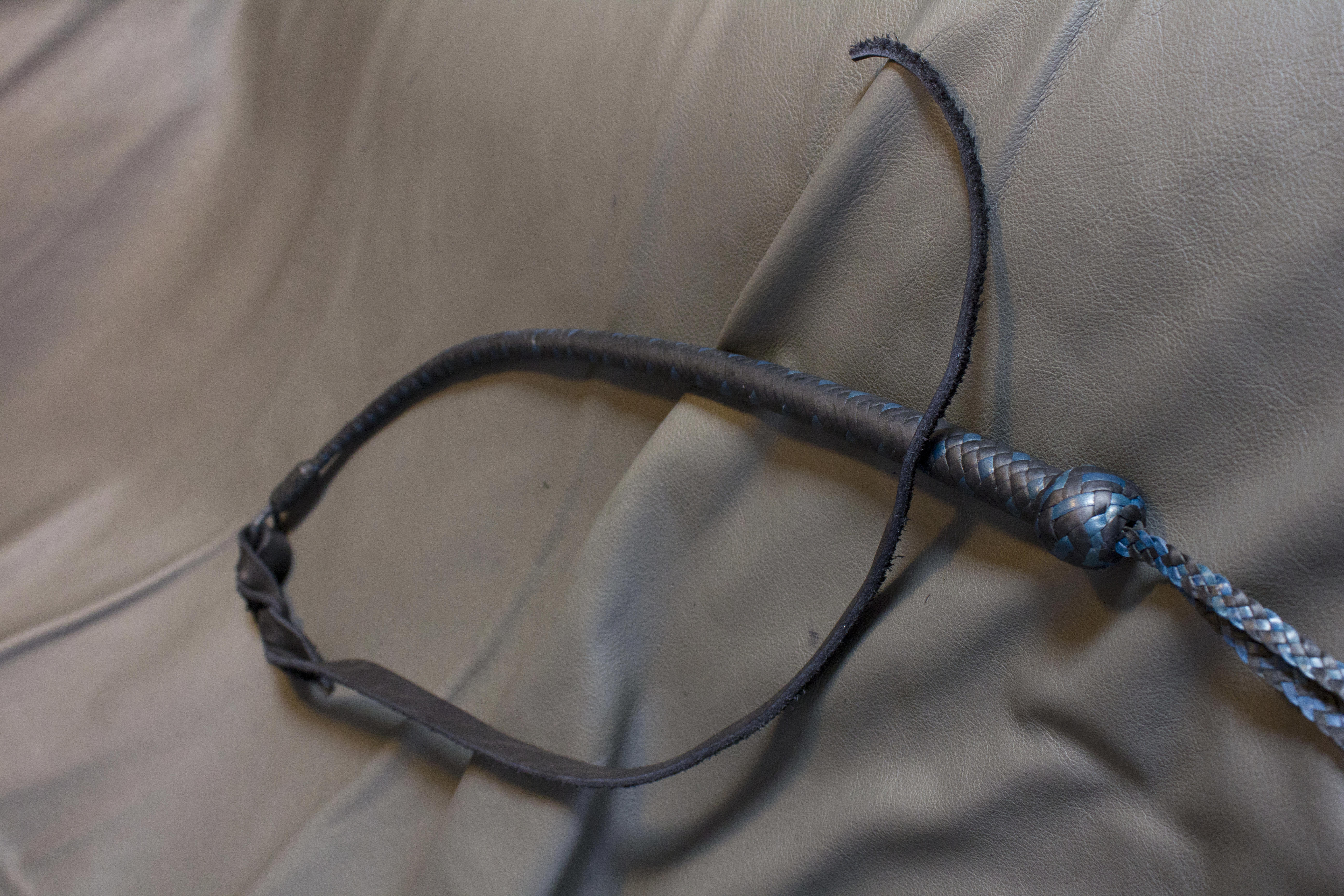 Dragons Quirt